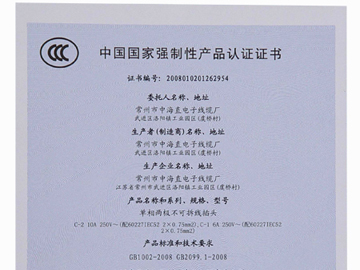 CCC国标2插
