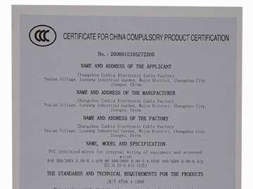 CCCAVR,AVVR (英文)