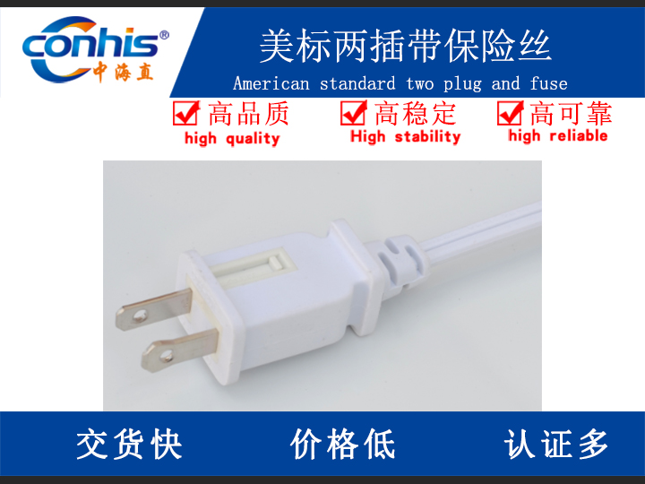 美标两插带保险丝