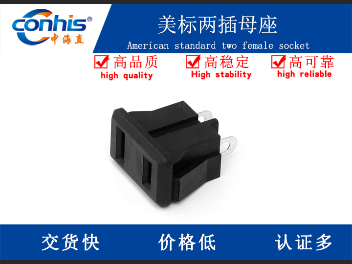 美标两插母座