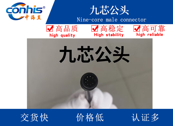 九芯公头