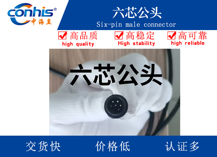 六芯公头