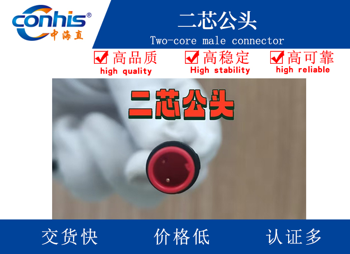 二芯公头